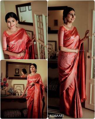 Designer Saree